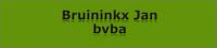 Jan Bruininkx bvba Cv