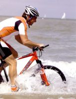 D'Haene Sport Fietsenwinkel