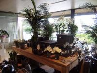Carron Tuincenter Cadeautip