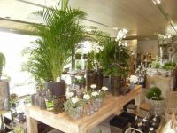 Carron Tuincenter Cadeautip