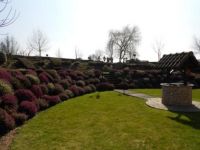 Green Garden Asse