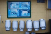 De Witte Lelie Melk