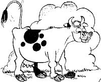 De Witte Lelie Melk