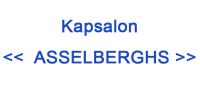 Kapsalon Asselberghs Brushings