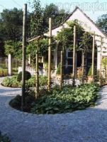 Botania tuincreaties Hagen