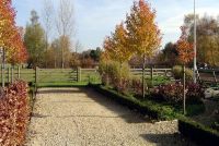 Forester Fencing Engels