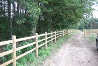 Forester Fencing Engels