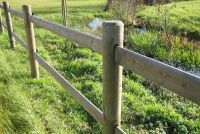 Forester Fencing Engels