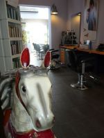 Vergroot foto