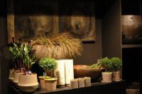 Bloembinderij Kristof De Waele Planten