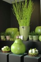 Bloembinderij Kristof De Waele Planten