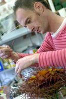 Bloembinderij Kristof De Waele Planten