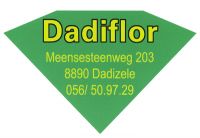 Dadiflor Kwekerij