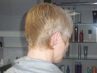 Vergroot foto