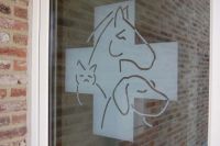 Vergroot foto