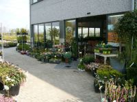 Coussens Peter bvba DADICO Tuinarchitectuur