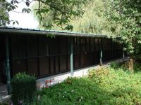 Paradijsvogel Huisdieren