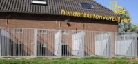 Hospitium Animalibus Lichttherapie