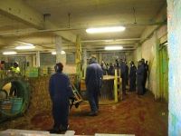 Hoegaarden Paintball bvba Groepen