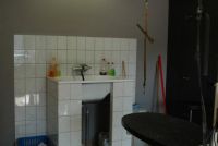 De Viervoeters nv Hondenkapsalon