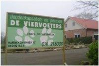 Vergroot foto