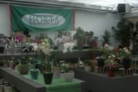 Horta Viva Verde Tuinmachines