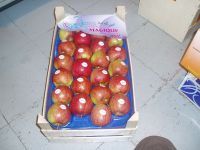 Vandepoel Fruit bvba Exoten