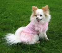 Christel Dierenspeciaalzaak Eukanuba