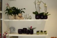 Bloemen Annemoon Abonnementen