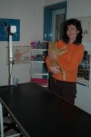 Dierenarts Massin Eukanuba
