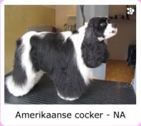 Vergroot foto