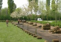 Vergroot foto