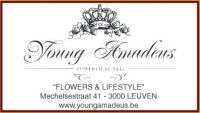 Young Amadeus