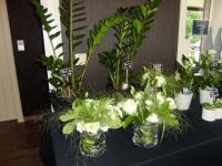 Bloemenatelier Ann Diependaele Florist