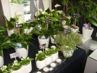Bloemenatelier Ann Diependaele Florist