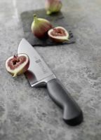 Sneyers Zwilling