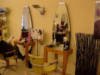 Coiffure Vidal Brushing