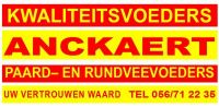 Vergroot foto