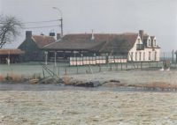 Roste Muis Boerenkreek