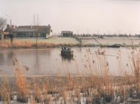 Vergroot foto