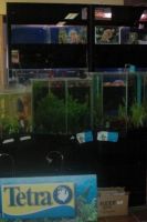 Mariman bvba Aquarium