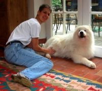Woofs & Hoofs Artrose