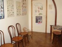 Dierenarts Ann Laes Huisbezoek