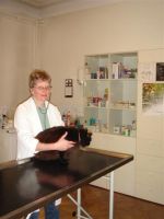 Dierenarts Ann Laes Huisbezoek