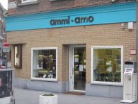 Ammi-amo Calypso