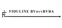Fiduline BV ovv BVBA Personenbelasting