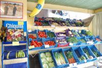 Groenten en Fruit Ann & Eric Schar