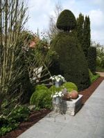 De Maertelaere - De Waele Kijktuin