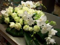 Baccara Bruidswerk