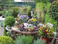 De Knotwilg Tuincentra Terrasplanten
